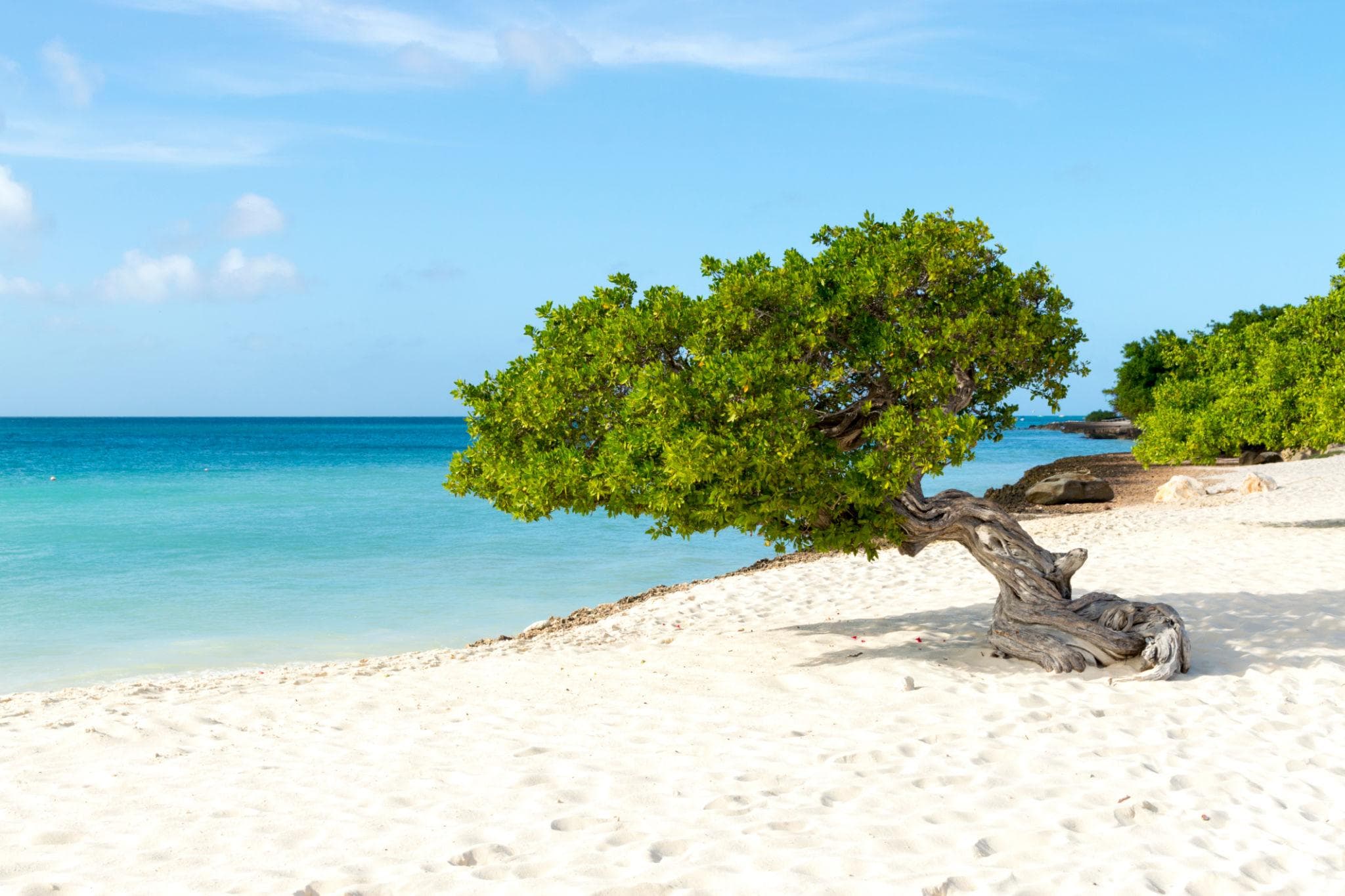 Aruba